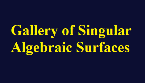 Gallery of Singular Algebraic Surfaces